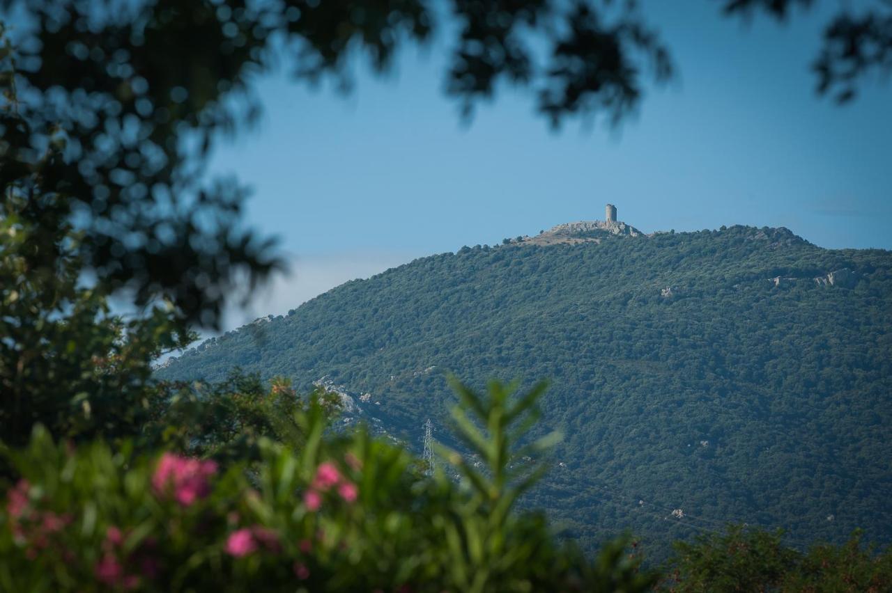 Camping La Plage Argeles ภายนอก รูปภาพ